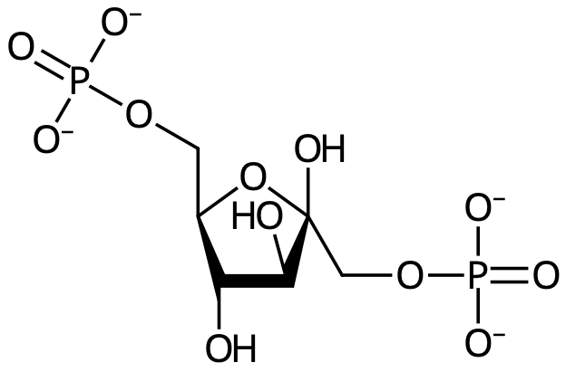 Fruktos-1,6-difosfat.